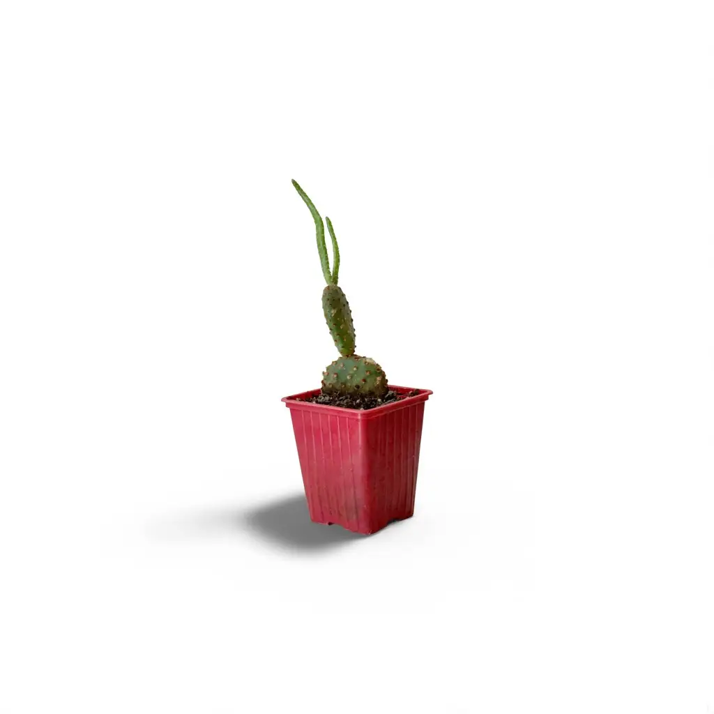 bdf59041-131c-4d53-87a1-7079acd60467