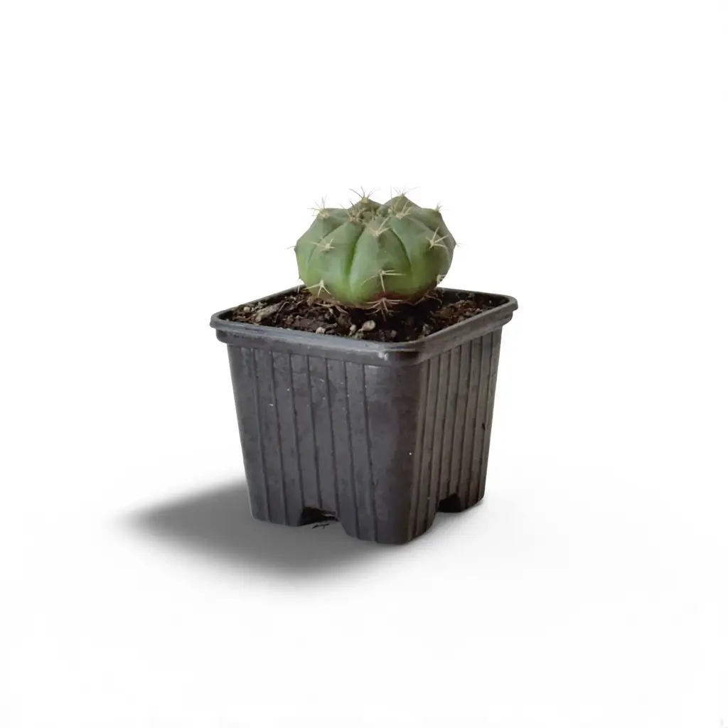 dfce67af-d17b-4c33-95ba-8af197a94331