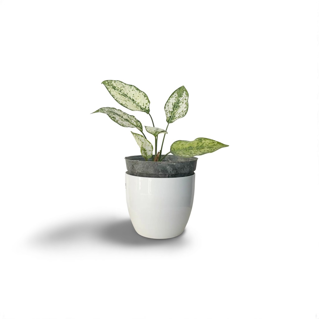 3b326e06-175b-4e6a-8fca-5e666b38a15e