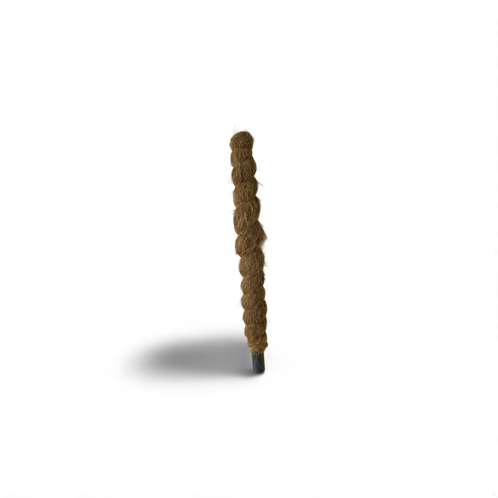 d120ae7f-4c8f-4d70-a8dc-28cdb6a44ea9