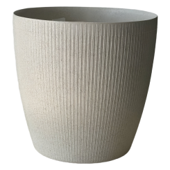 Ծաղկաման Մագնոլիա 3լ