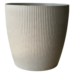 Ծաղկաման Մագնոլիա 5.2լ